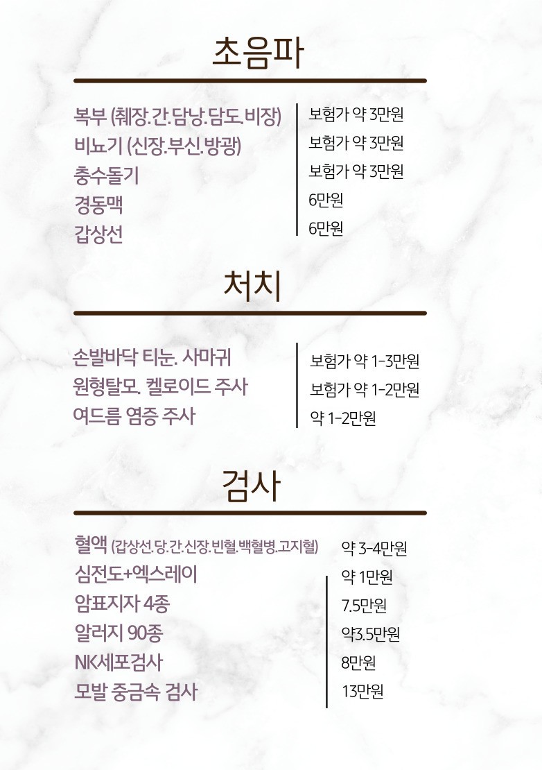 초음파.jpeg